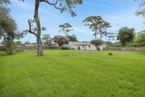 Spacious backyard with lush green grass, mature trees, offering privacy and a serene atmosphere. Perfect for outdoor activities and relaxation.