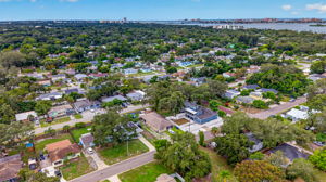Aerial 3