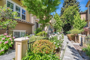 003_519 Sirte Terrace  Sunnyvale