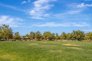040_519 Sirte Terrace  Sunnyvale