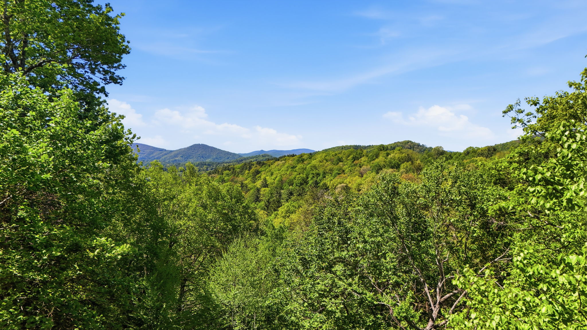 DJI_20260513031431_0109_D