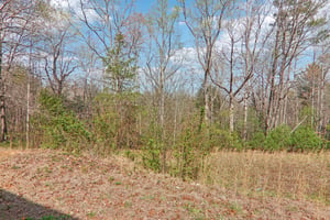 Ralph Winchester Rd-S2803-038.jpg