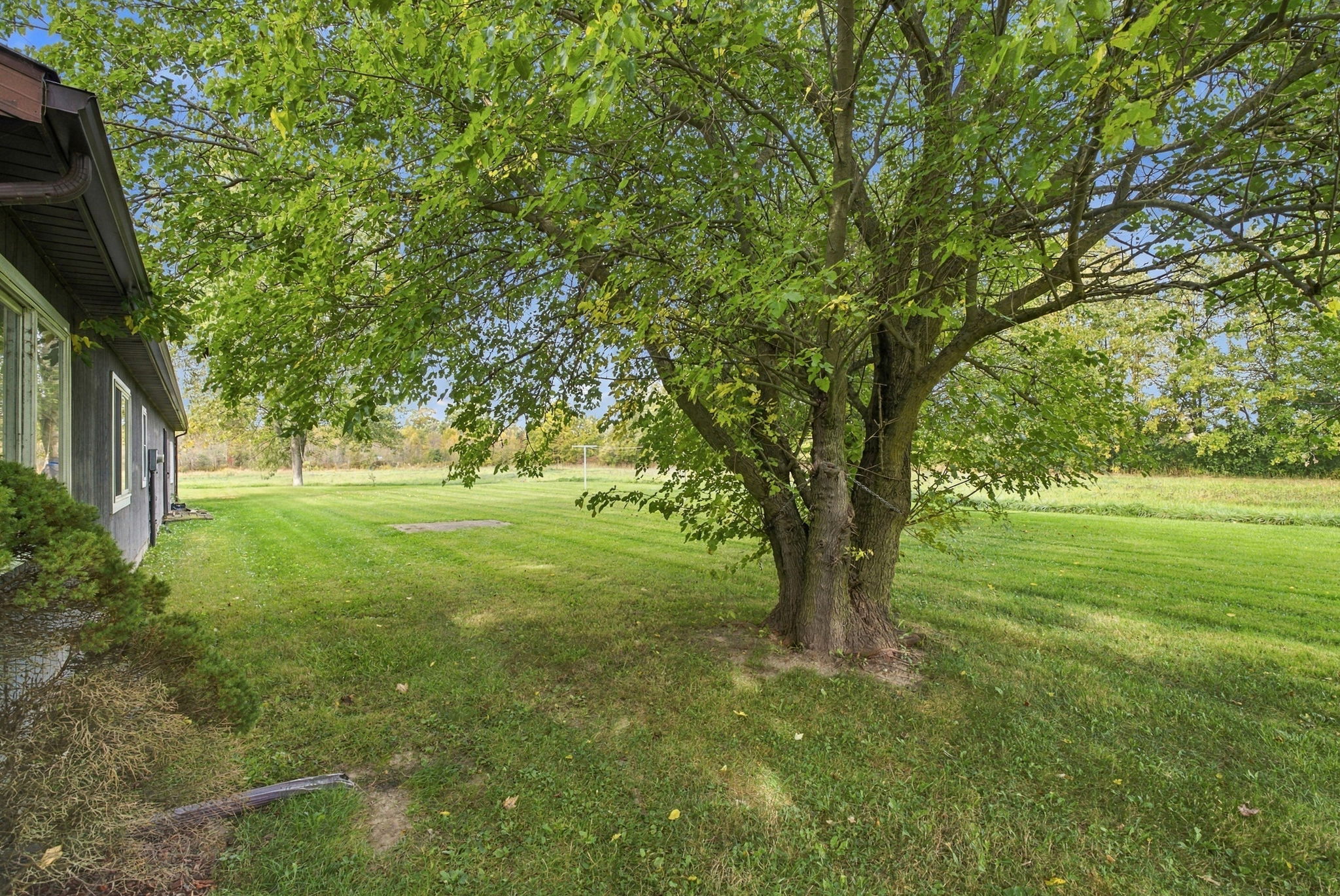  Photo 44