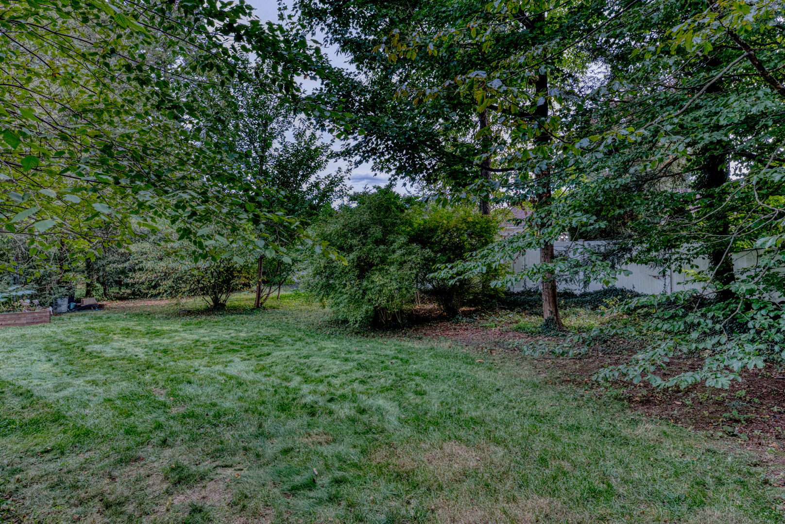  Photo 44