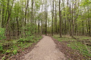  Photo 39