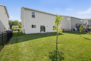  Photo 46