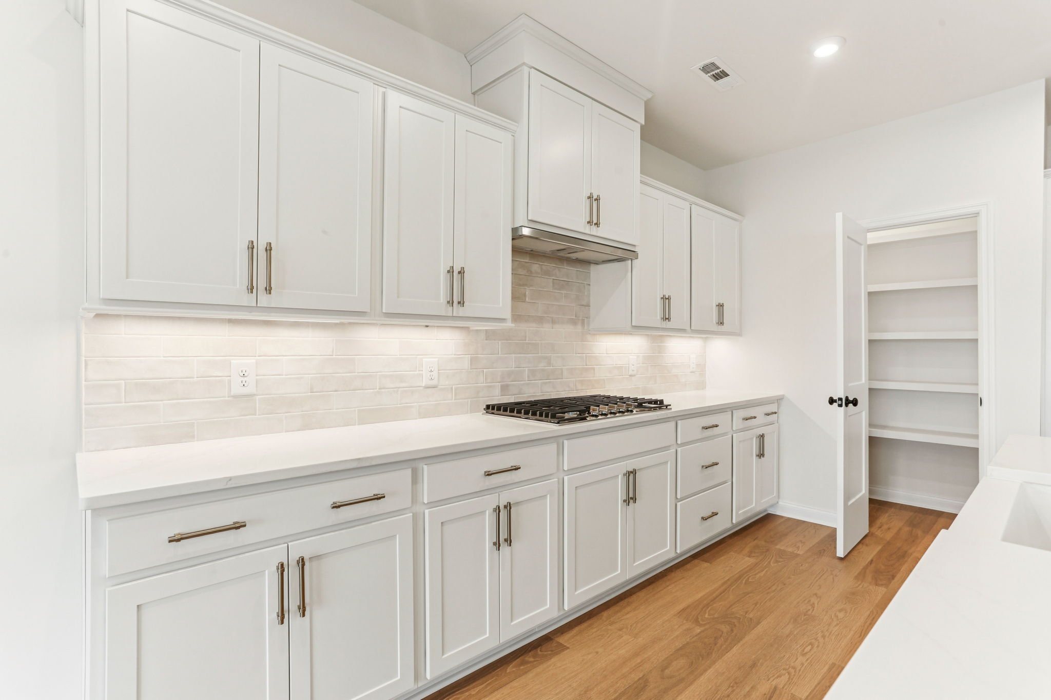 520 Blue Olive Dr-S2611-022