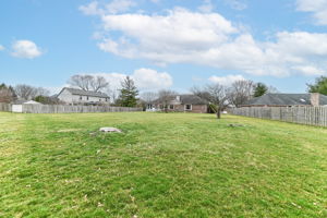 Spacious Back yard