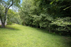  Photo 52