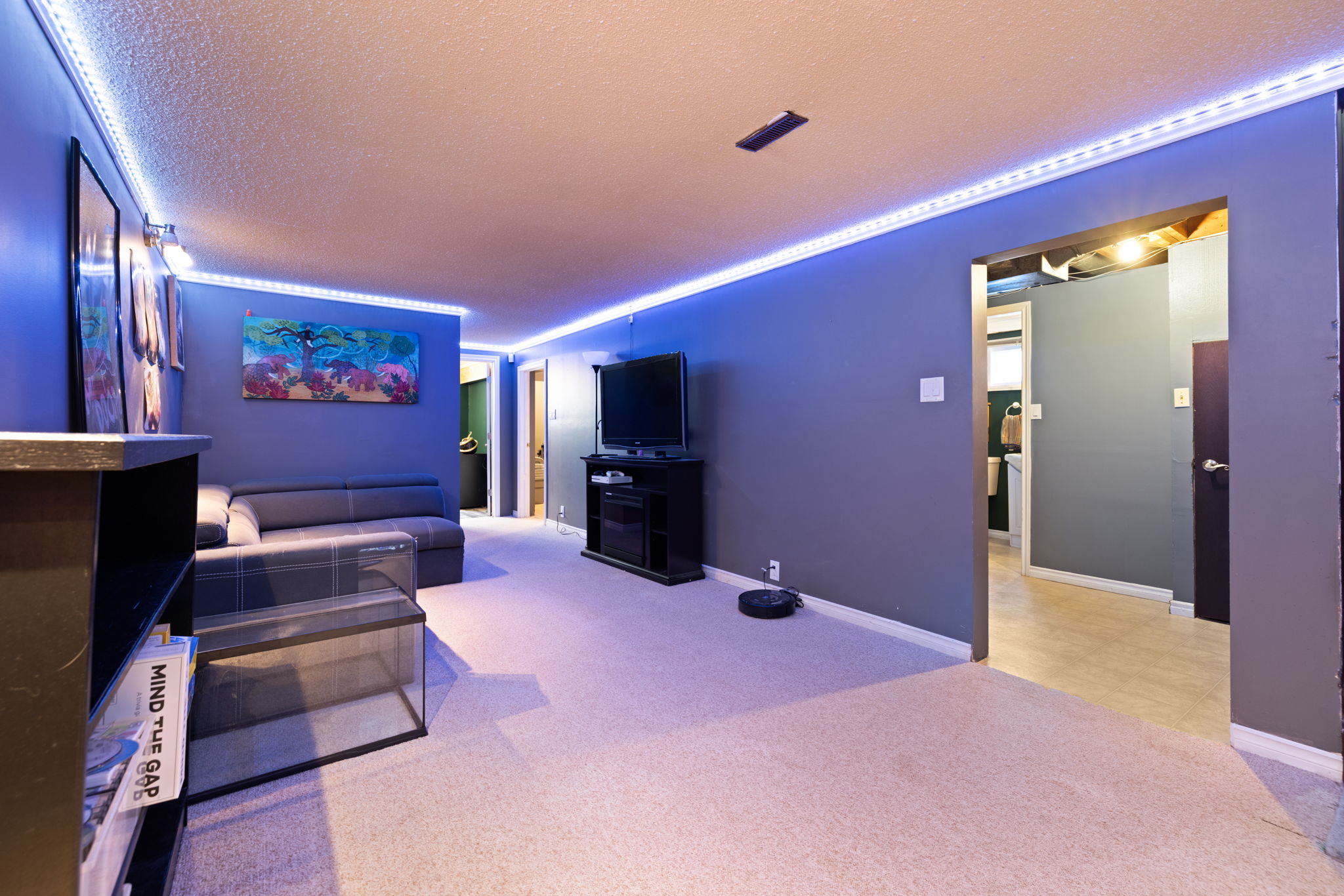 16. 520 Montague St. - Basement