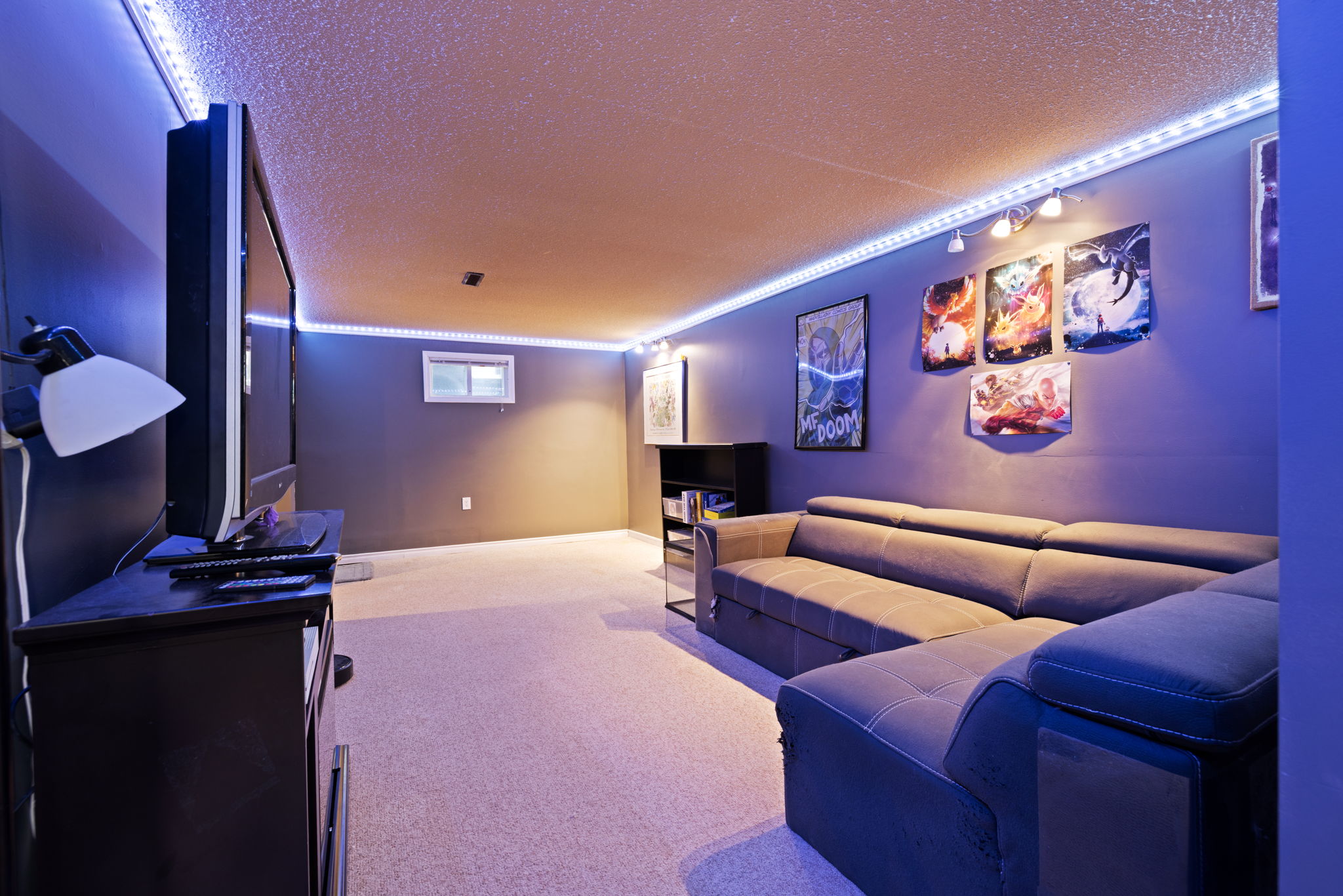 17. 520 Montague St. - Basement