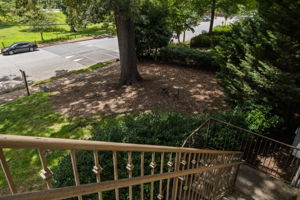 20250617_520park_mincey059