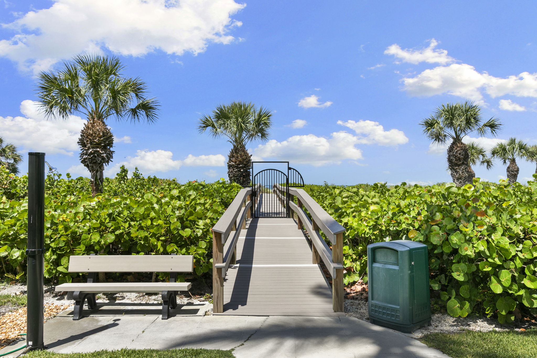 Boardwalk