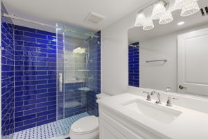 Guest Bath 3
