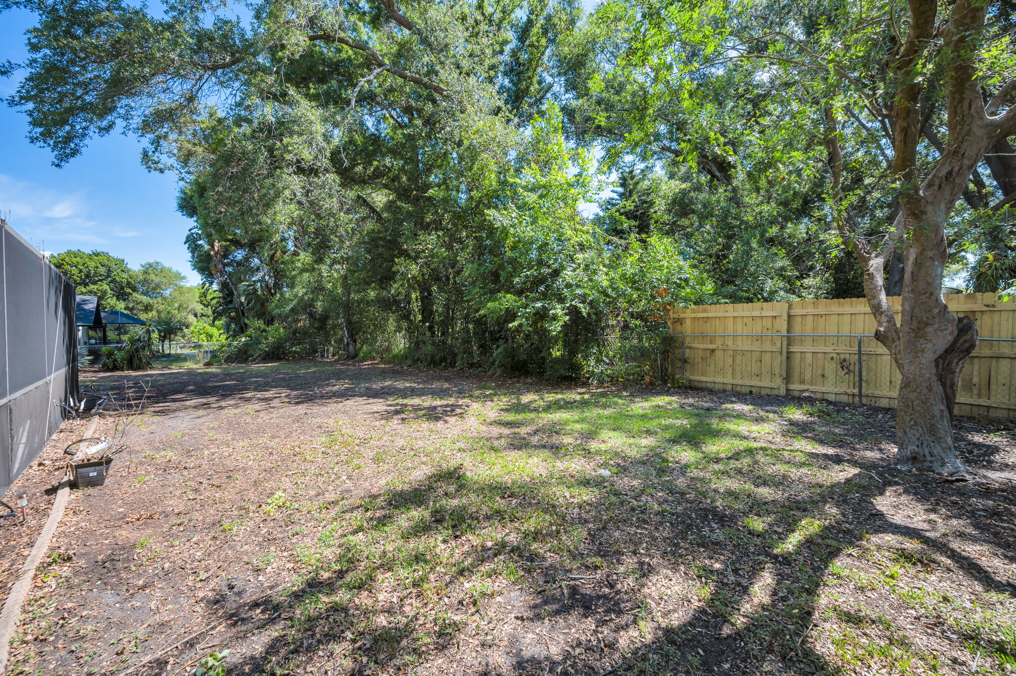 Backyard2