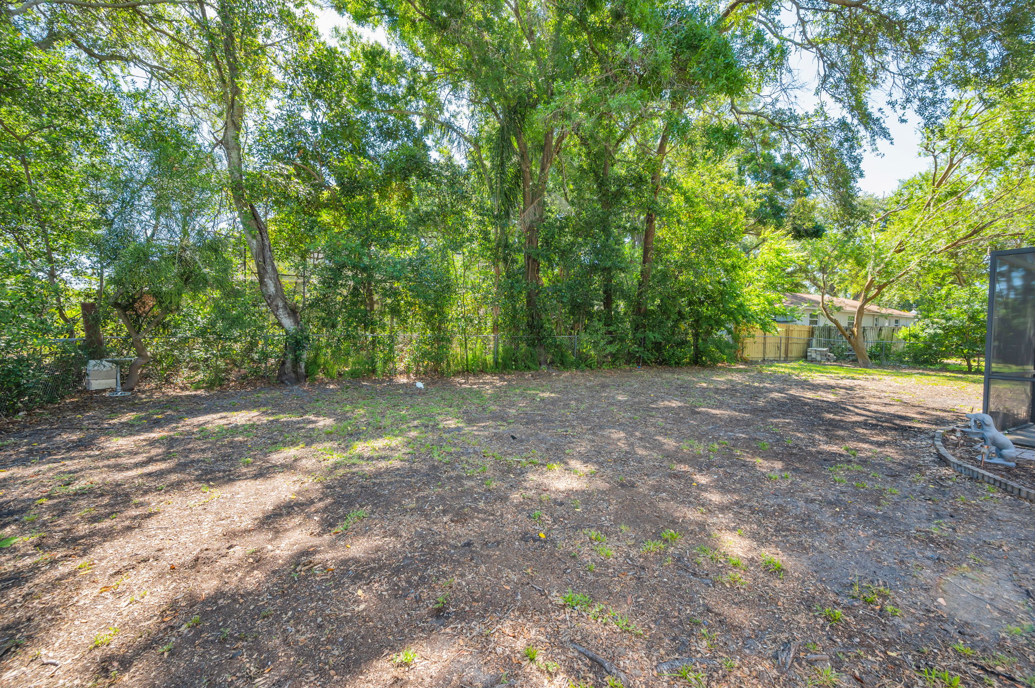 Backyard3
