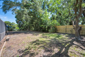 Backyard2