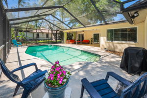 Patio and Pool