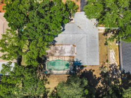 Aerial (6)