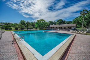 31-Pool