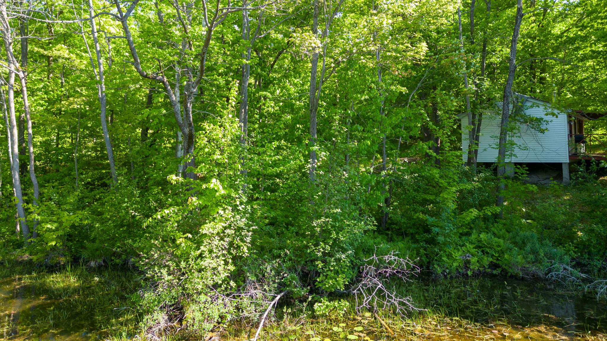  Photo 23