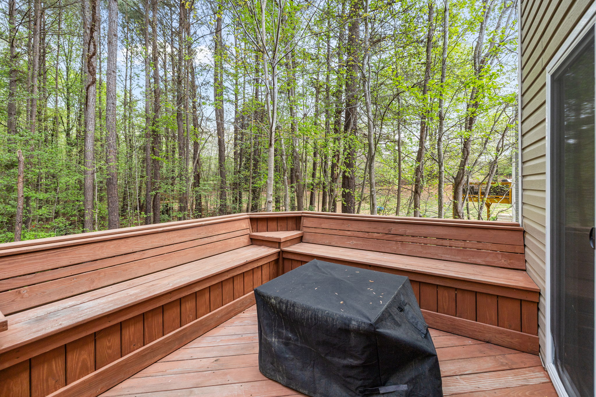 Back Deck