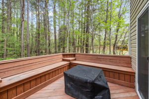 Back Deck