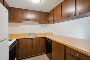 5204 15th Ave NE Unit 105-S1408-007.jpg