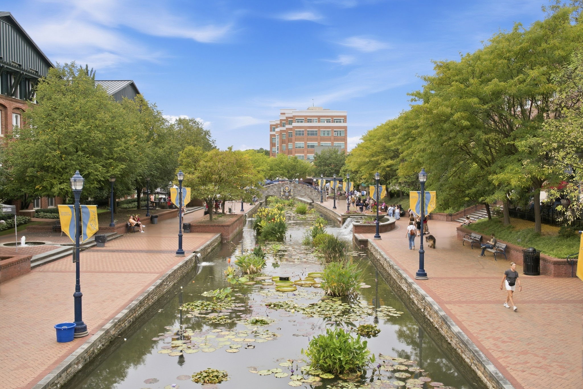  Photo 107