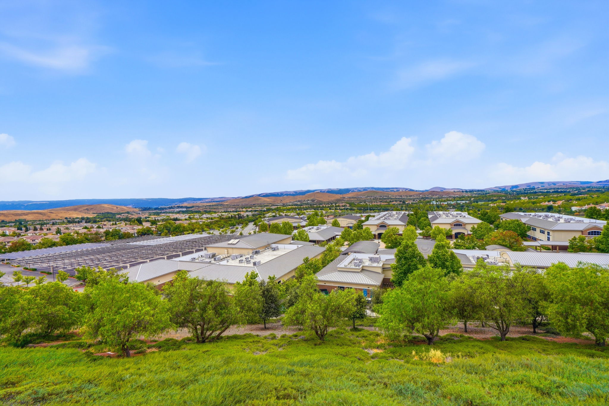 043_F8_5206 Fioli Loop