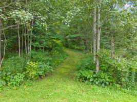  Photo 36