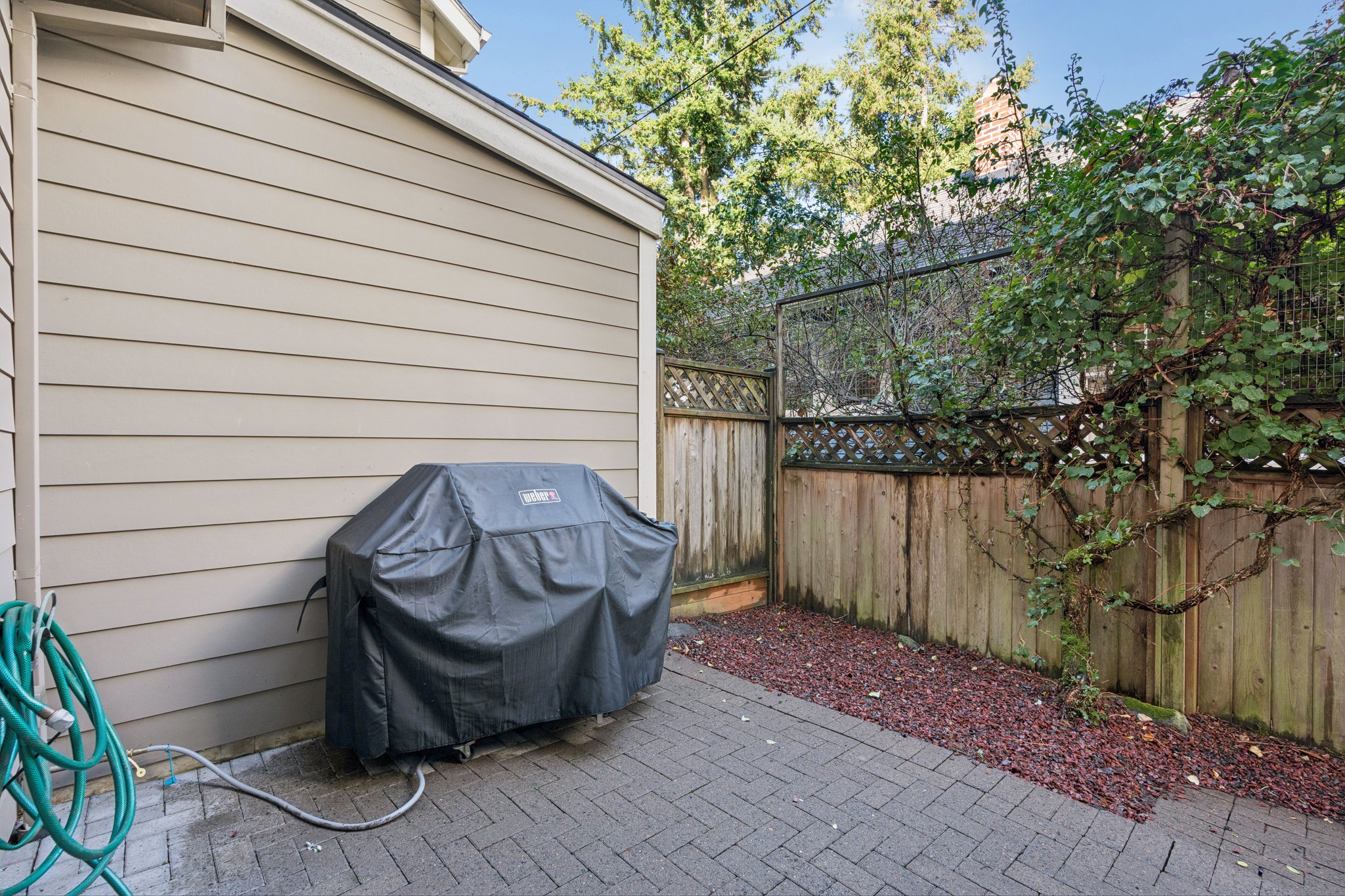 100.jpg