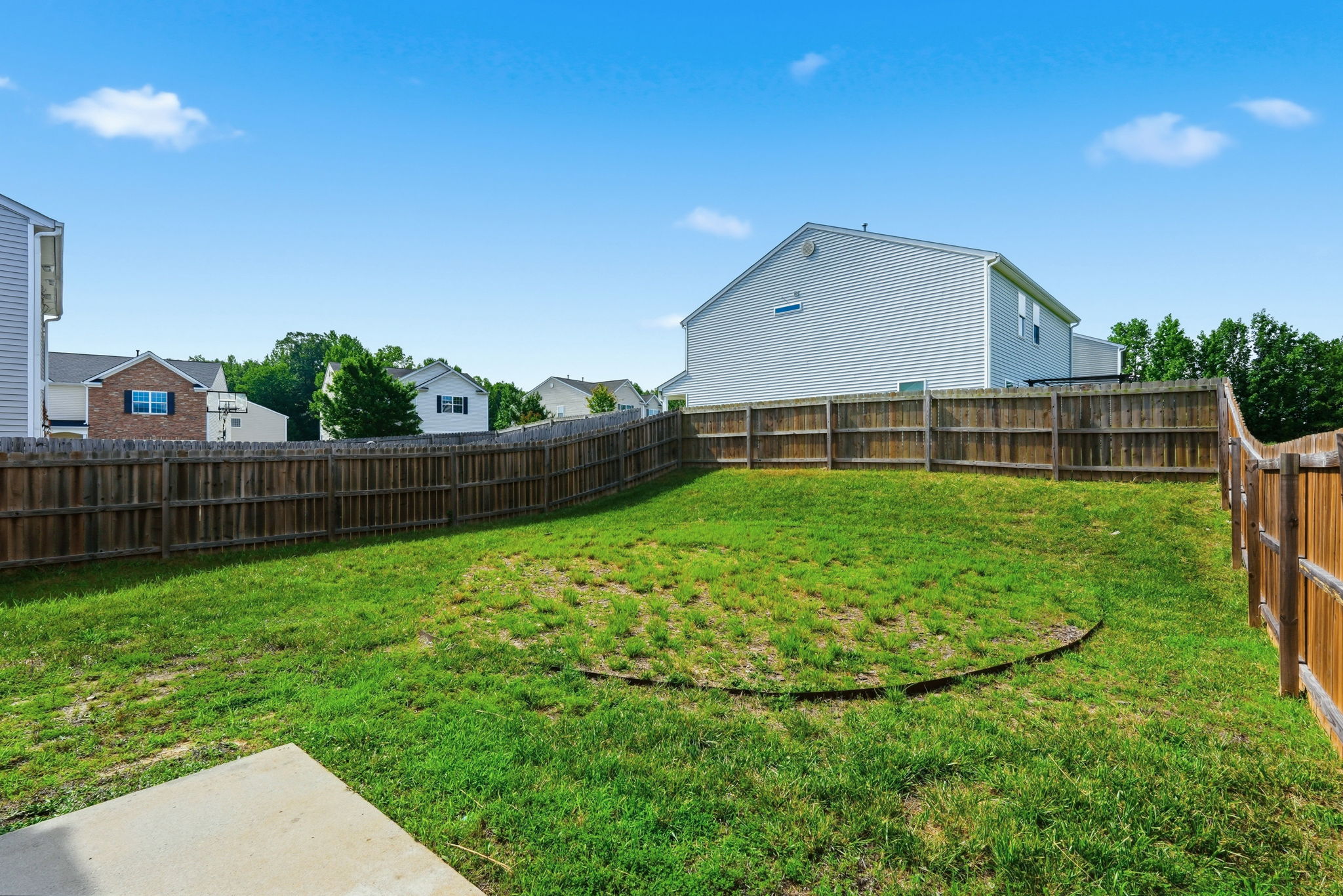 Back Yard