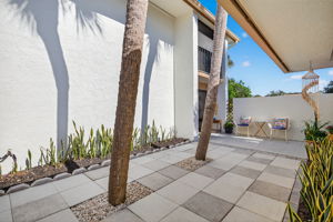 Patio 3