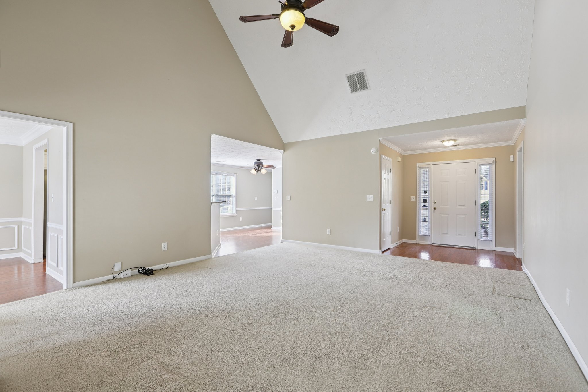 Red Tip Ct-S1903-009.jpg