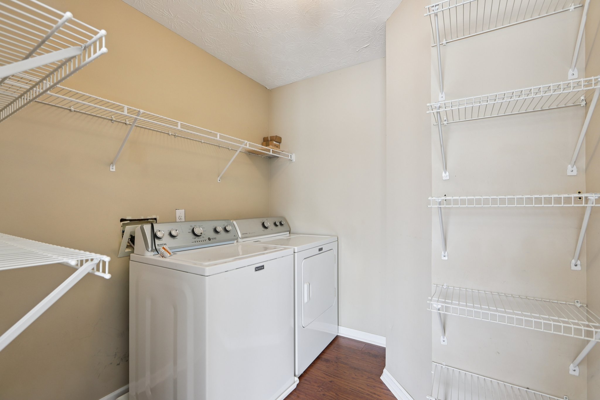 Red Tip Ct-S1903-016.jpg