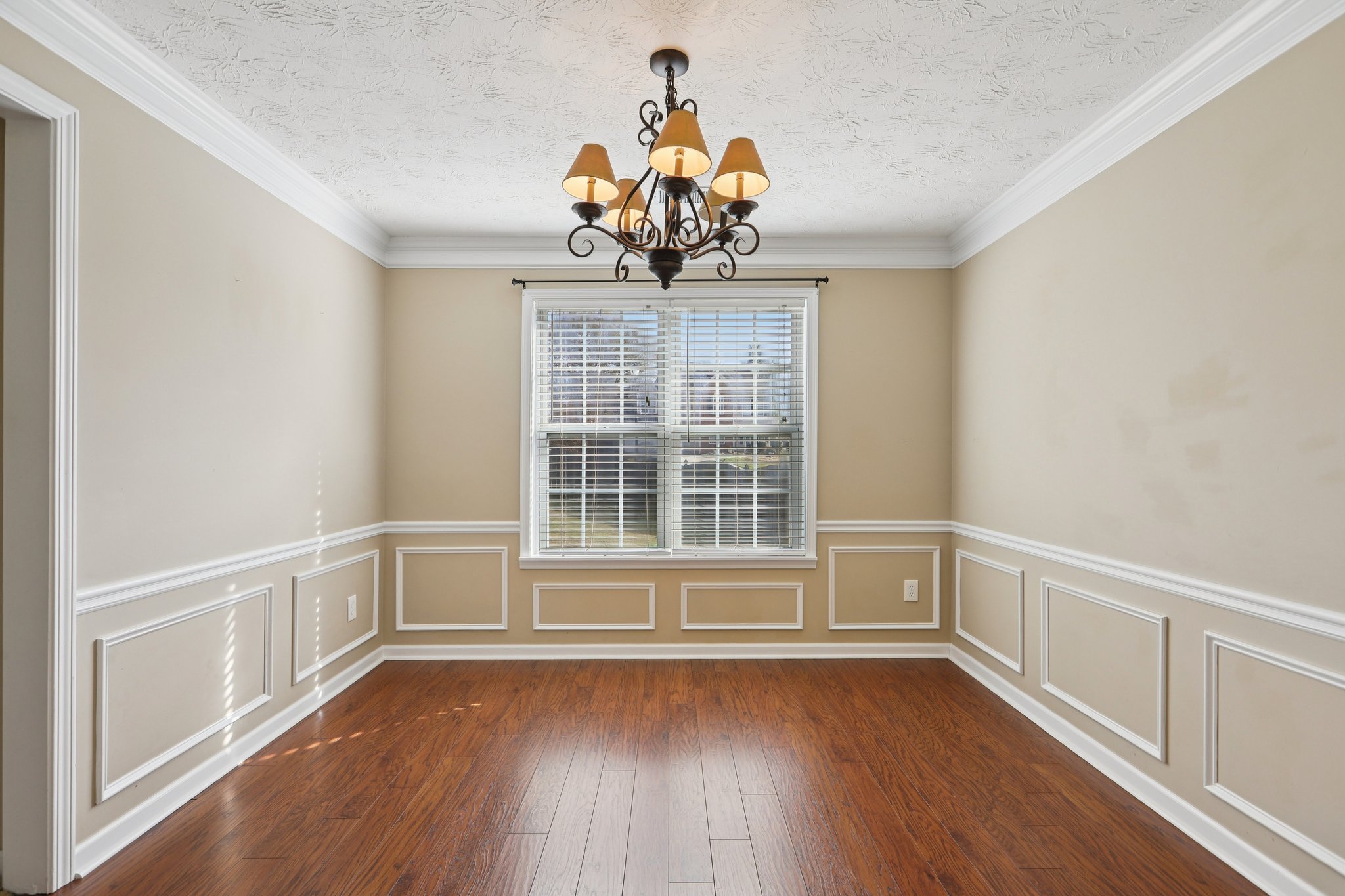 Red Tip Ct-S1903-017.jpg