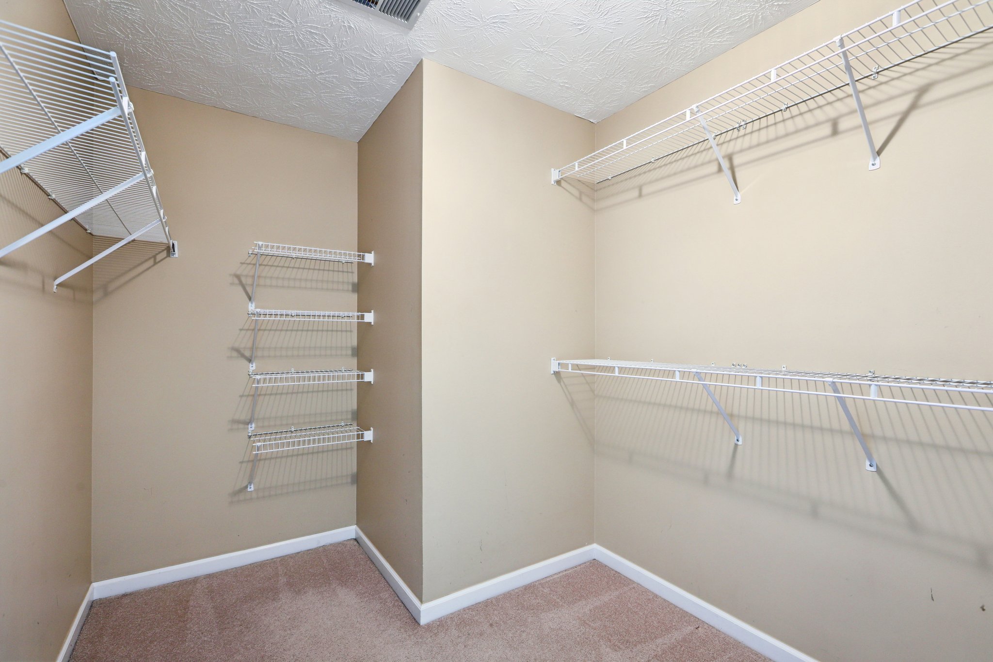 Red Tip Ct-S1903-025.jpg