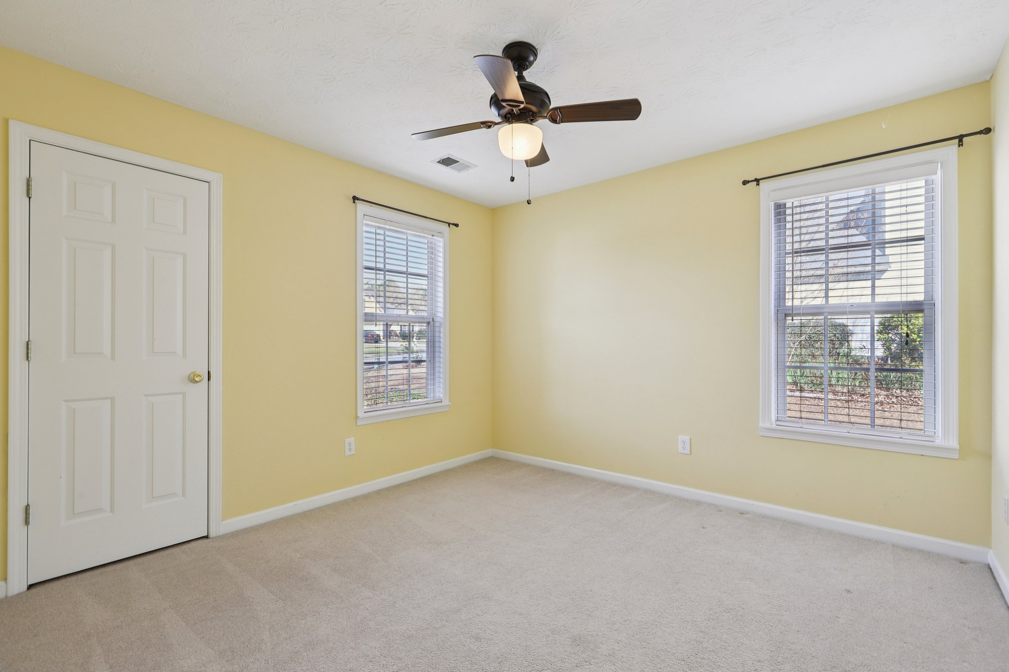 Red Tip Ct-S1903-028.jpg