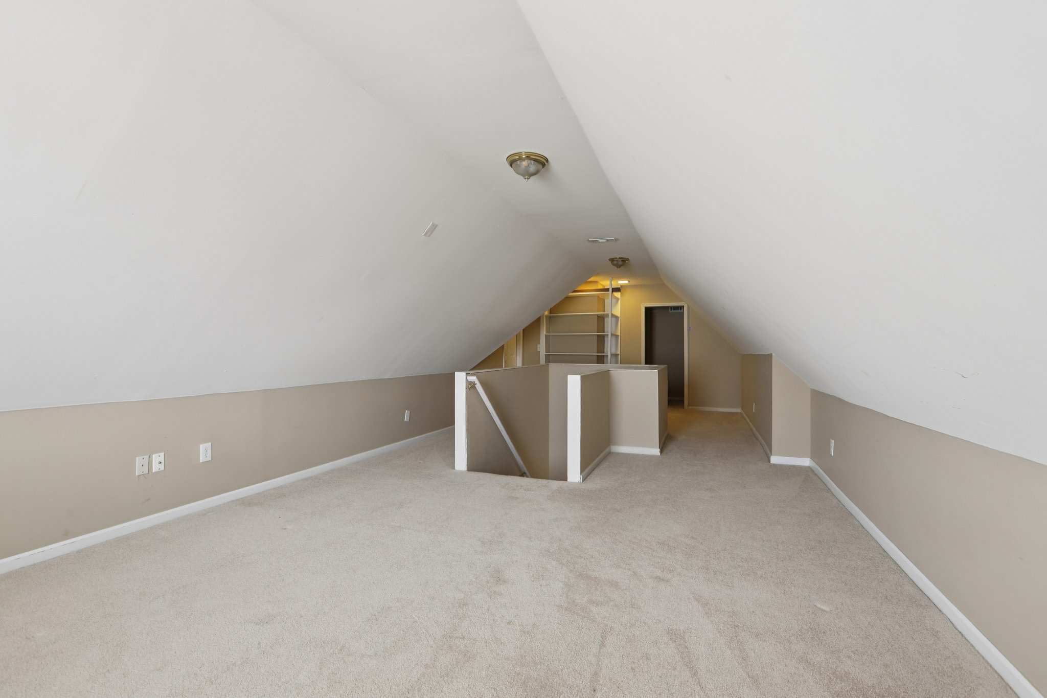 Red Tip Ct-S1903-033.jpg