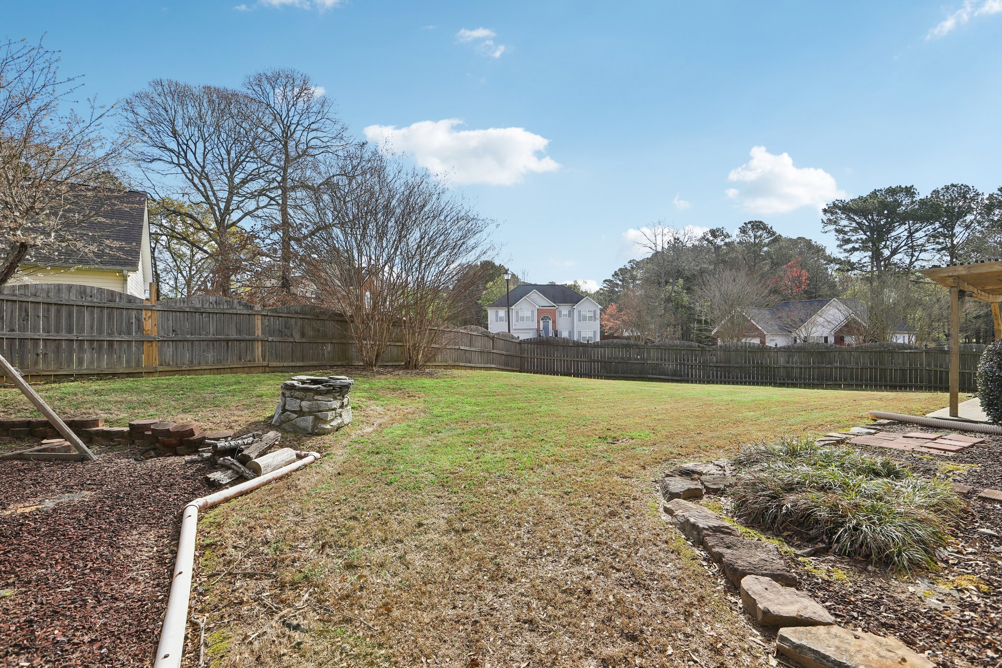 Red Tip Ct-S1903-039.jpg