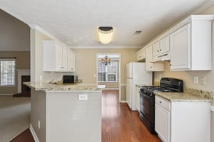 Red Tip Ct-S1903-010.jpg