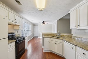 Red Tip Ct-S1903-012.jpg