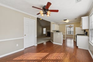 Red Tip Ct-S1903-014.jpg