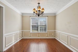 Red Tip Ct-S1903-017.jpg