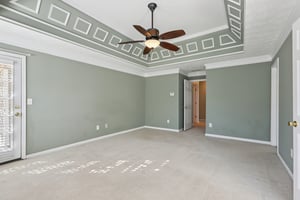 Red Tip Ct-S1903-022.jpg