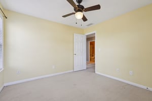 Red Tip Ct-S1903-029.jpg