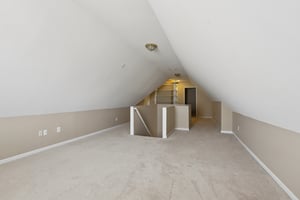 Red Tip Ct-S1903-033.jpg