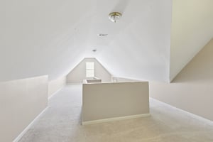 Red Tip Ct-S1903-034.jpg