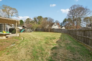 Red Tip Ct-S1903-035.jpg